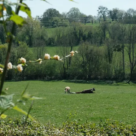 וילה Maison Nomade Perche - Maisonnomadechic *