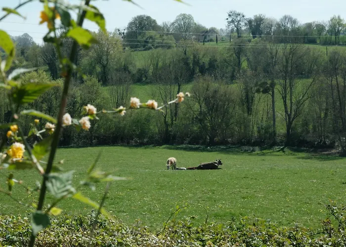 빌라 Maison Nomade Perche - Maisonnomadechic *